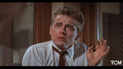 Rebel Without A Cause! Exploring the Tumultuous Teenage Psyche in Nicholas Ray's Classic